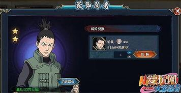 忍界鹿丸爆料视频大全集,揭秘忍者世界背后的秘密与真相